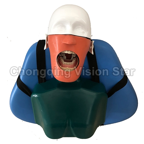 SJD-OC4 Dental Phantom Head