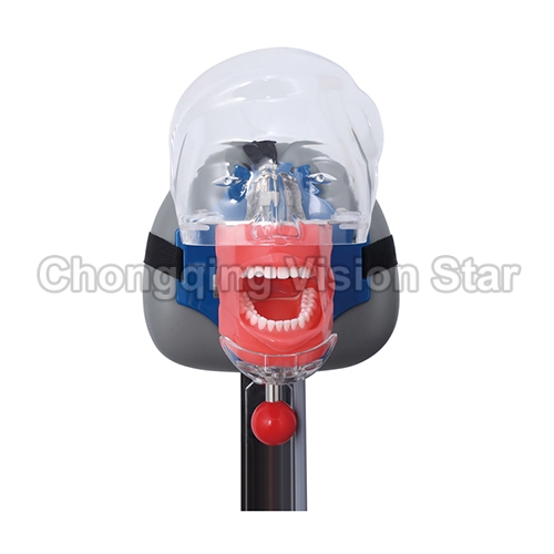 SJD-OC63 Dental Phantom Head