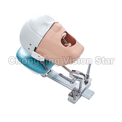 SJD-OC8 Dental Phantom Head